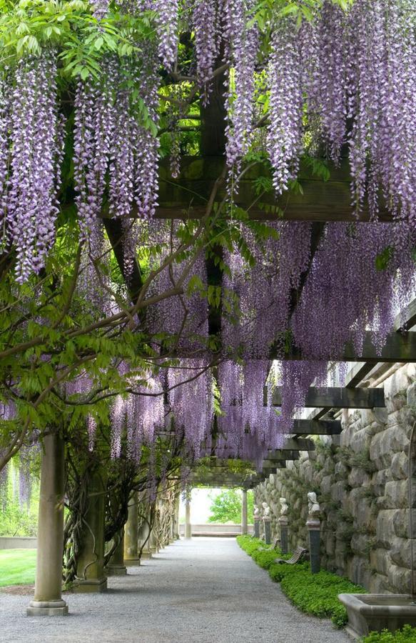 Village Hotel On Biltmore Estate 애쉬빌 외부 사진